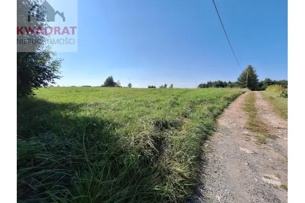 elbląski, Tolkmicko, Łęcze, Działki w Łęczu od 1.600 m2 do 5.000 m2 kilka minut od Elbląga