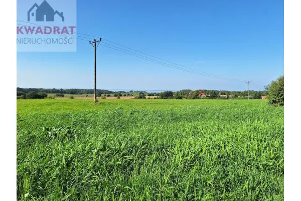 elbląski, Tolkmicko, Łęcze, Działki w Łęczu od 1.600 m2 do 5.000 m2 kilka minut od Elbląga