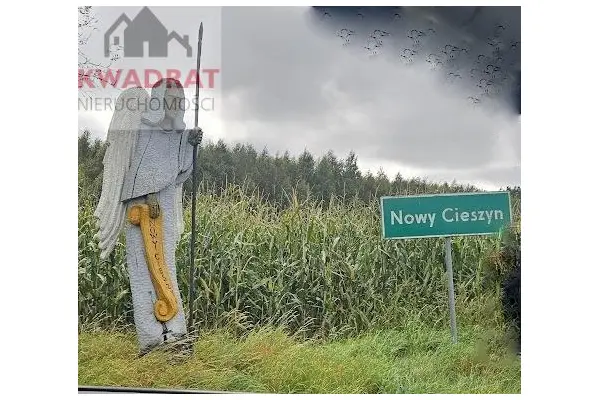 elbląski, Pasłęk, Nowy Cieszyn, Działka 5.000 m2 idealna na rekreację lub do zamieszkania