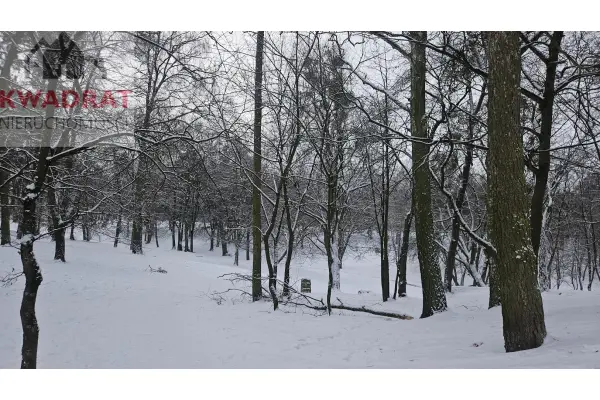 Elbląg, Wiejska, 3 pokojowe z widokiem z balkonu na park